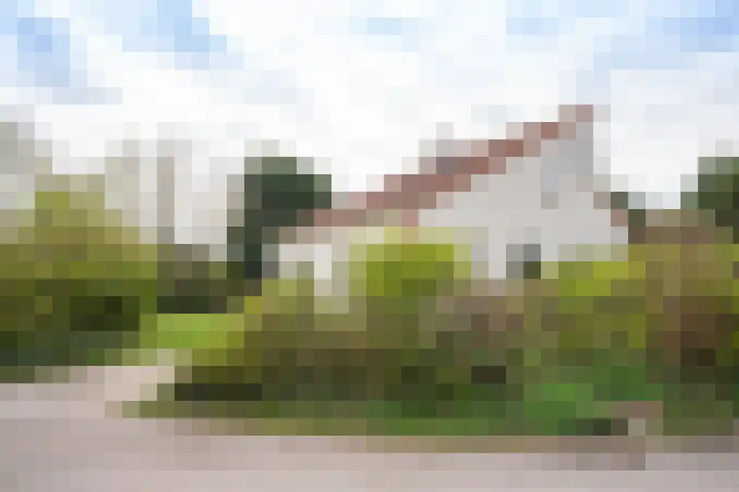 Roggeslootweg 393 De Cocksdorp thumbnail 56