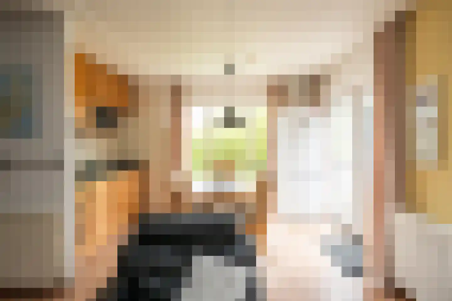 Roggeslootweg 393 De Cocksdorp thumbnail 9