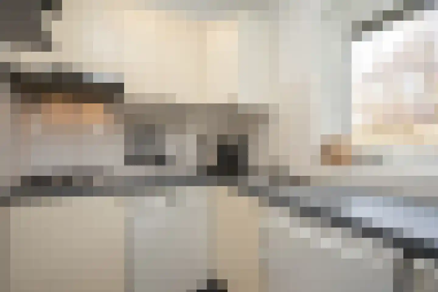 Roggeslootweg 47 De Cocksdorp thumbnail 12