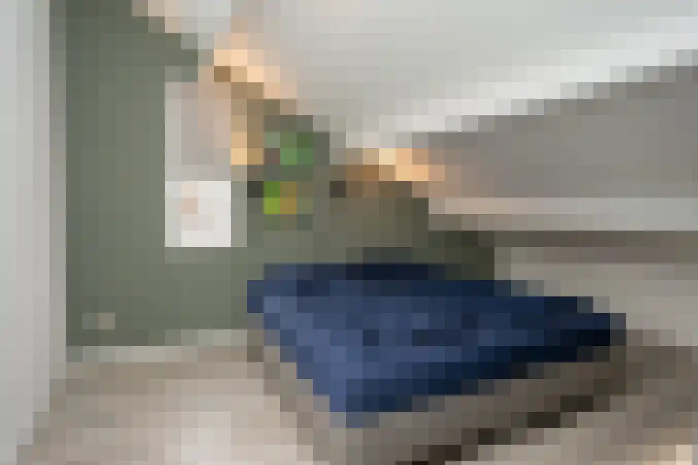 Roggeslootweg 47 De Cocksdorp thumbnail 19