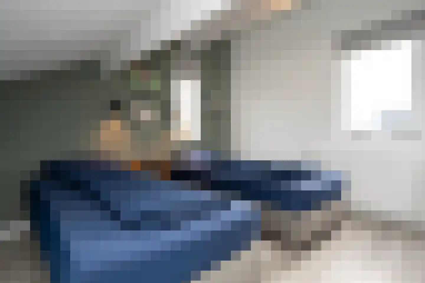 Roggeslootweg 47 De Cocksdorp thumbnail 26