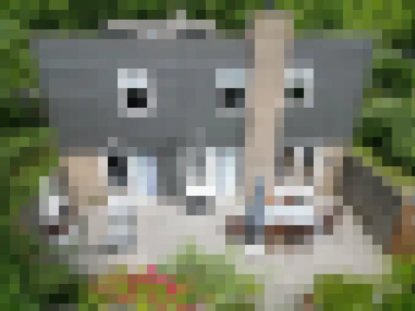 Roggeslootweg 47 De Cocksdorp thumbnail 28