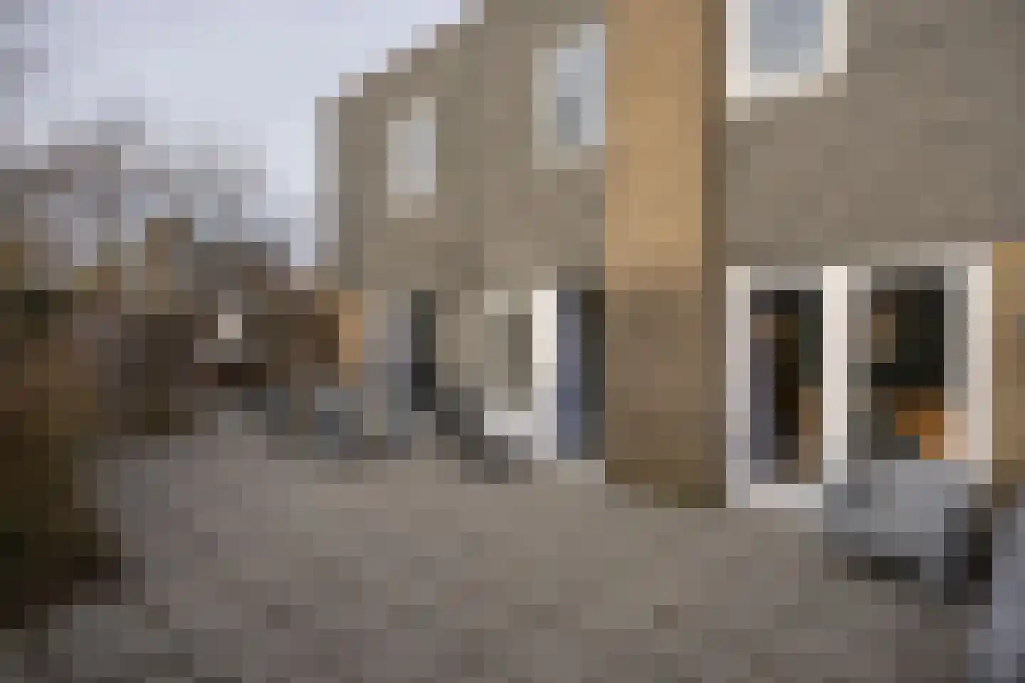 Roggeslootweg 47 De Cocksdorp thumbnail 29