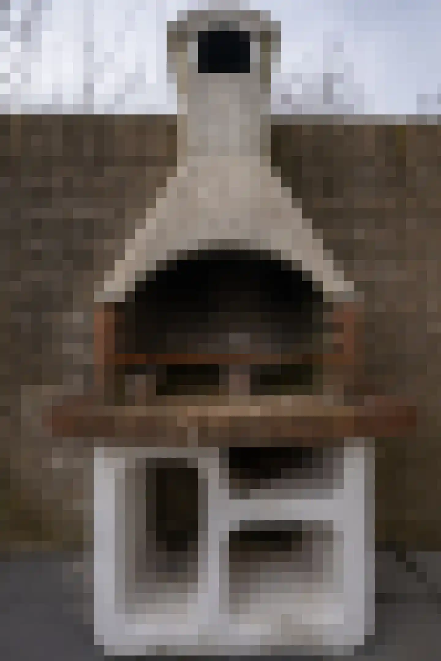 Roggeslootweg 47 De Cocksdorp thumbnail 31