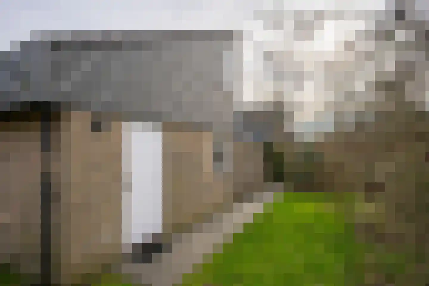 Roggeslootweg 47 De Cocksdorp thumbnail 34