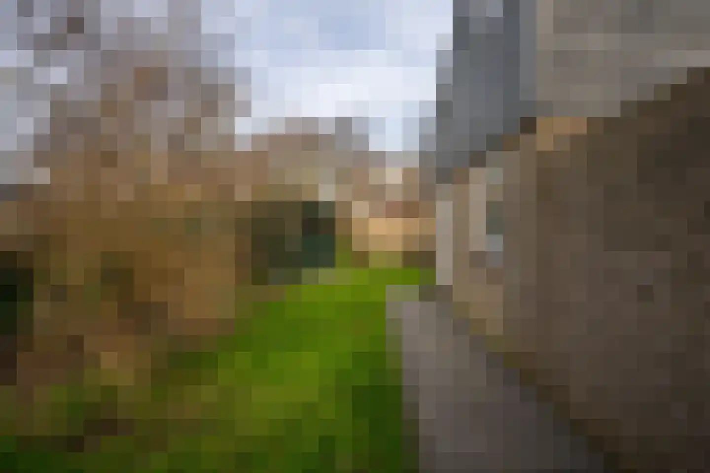 Roggeslootweg 47 De Cocksdorp thumbnail 35