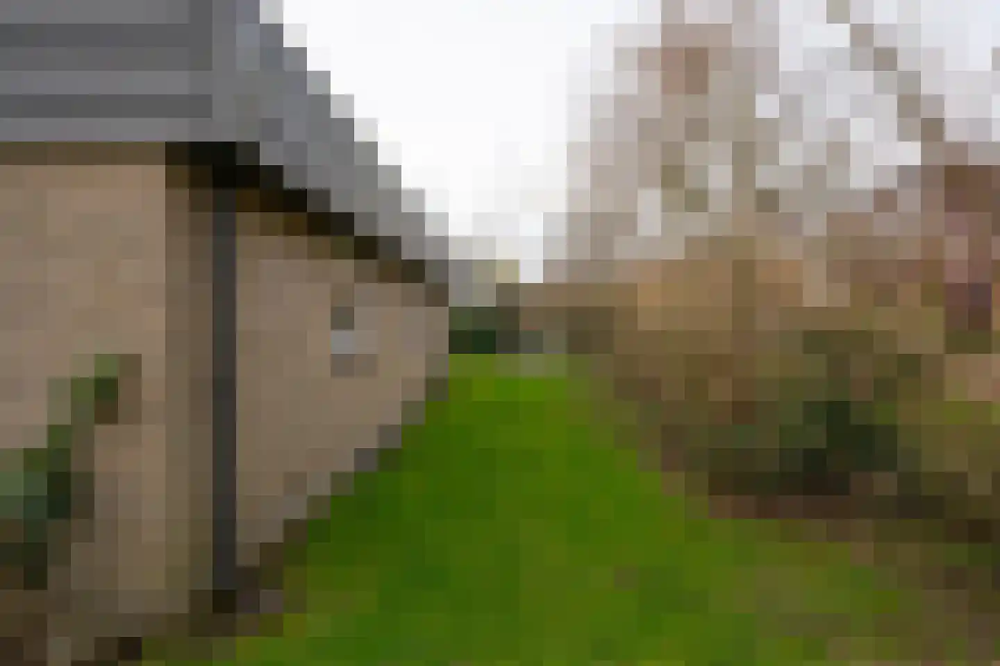 Roggeslootweg 47 De Cocksdorp thumbnail 37