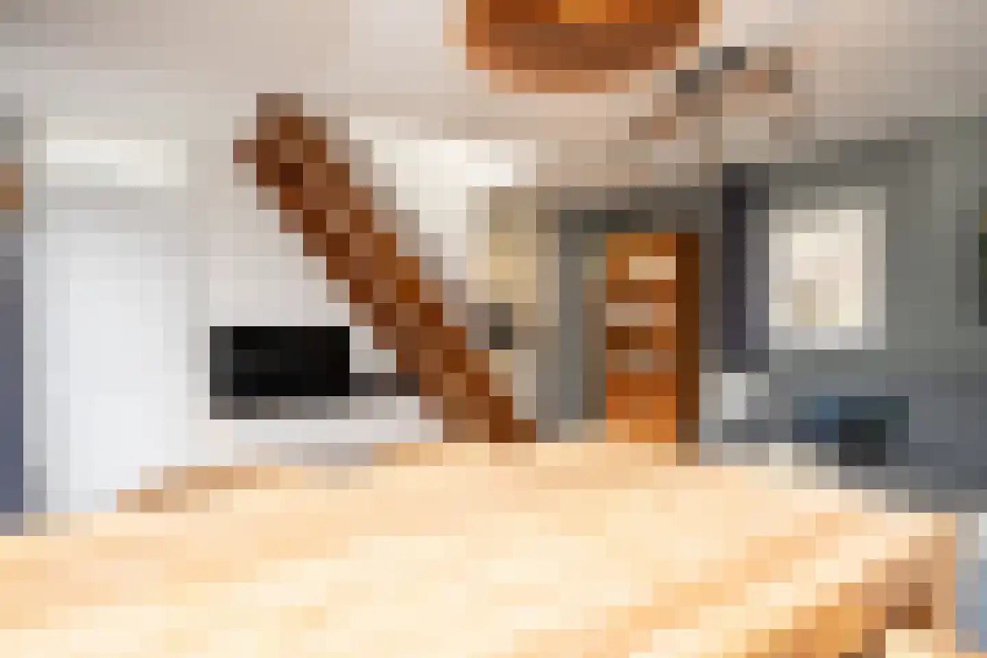 Roggeslootweg 47 De Cocksdorp thumbnail 4
