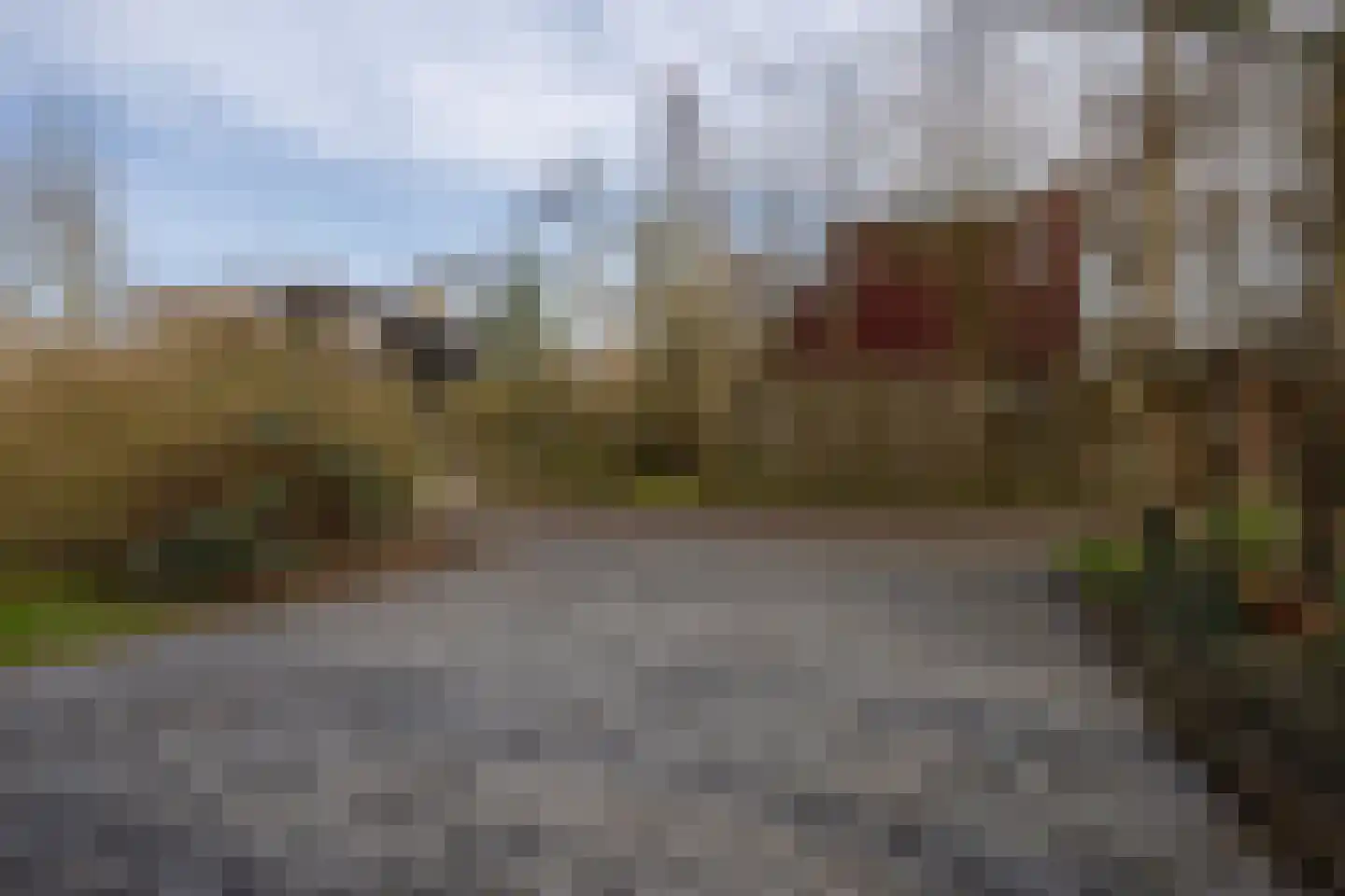 Roggeslootweg 47 De Cocksdorp thumbnail 40