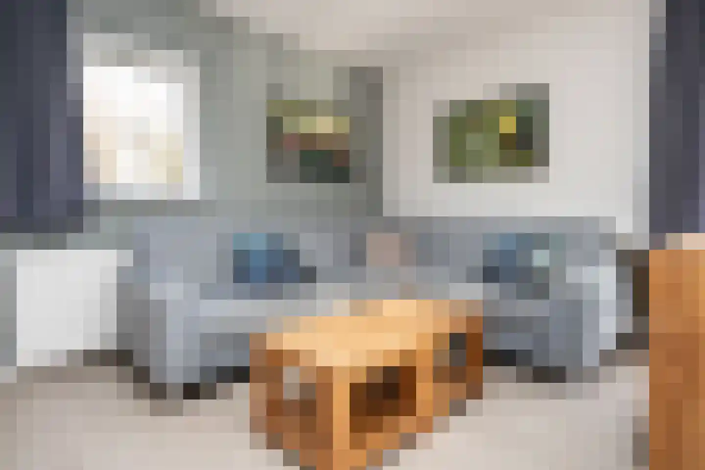 Roggeslootweg 47 De Cocksdorp thumbnail 5