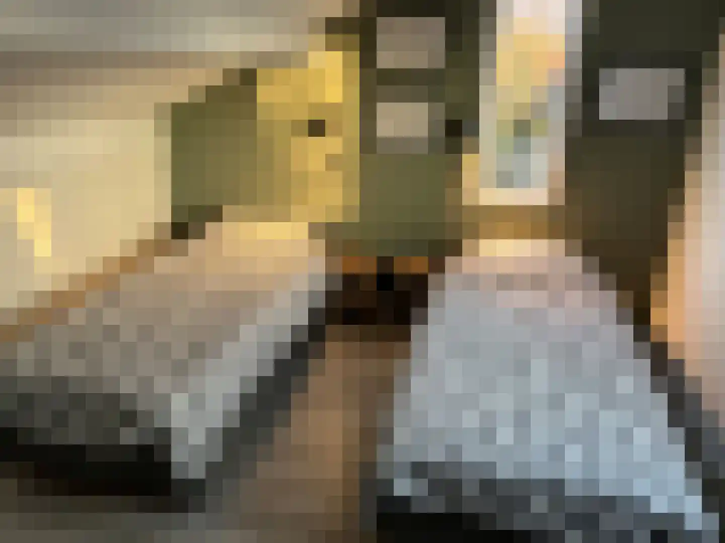 Roggeslootweg 47 De Cocksdorp thumbnail 5