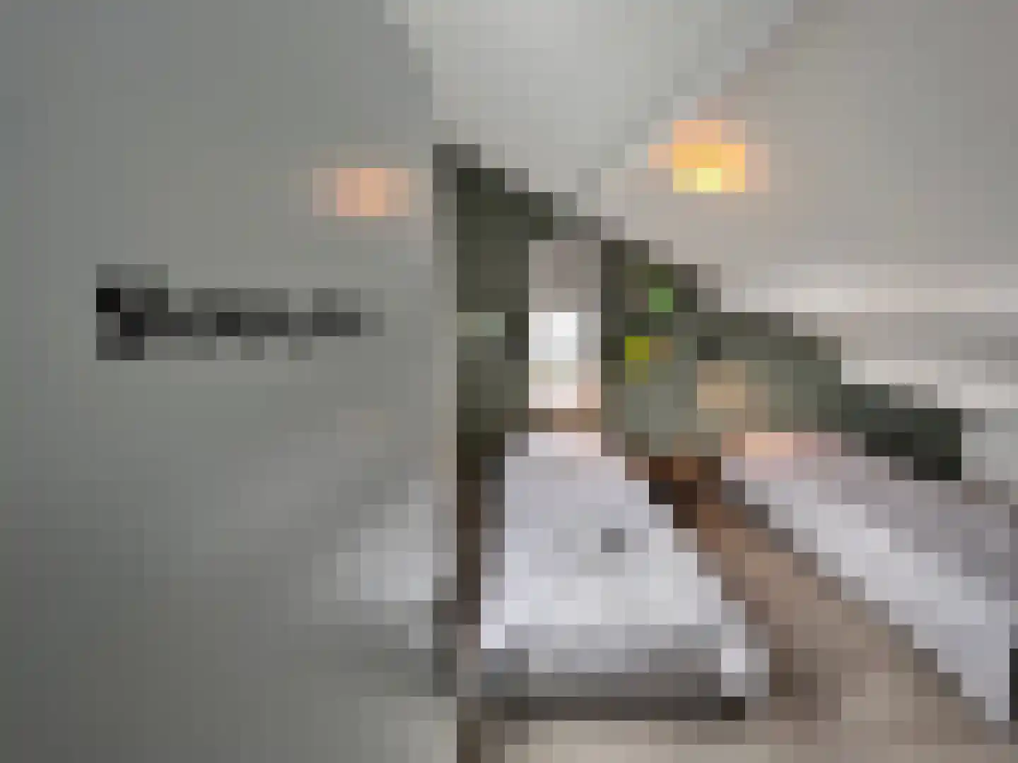 Roggeslootweg 47 De Cocksdorp thumbnail 6