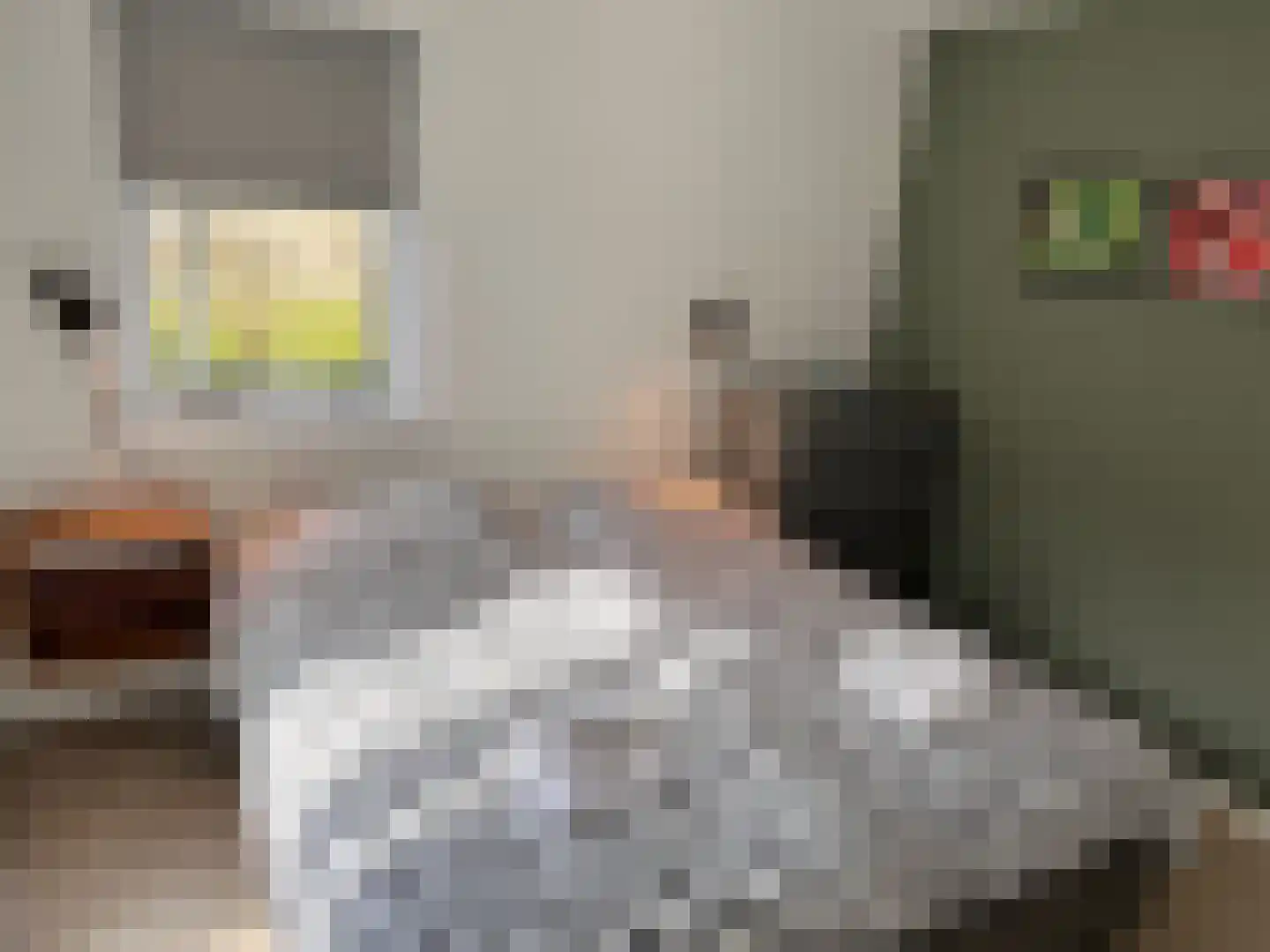 Roggeslootweg 47 De Cocksdorp thumbnail 8