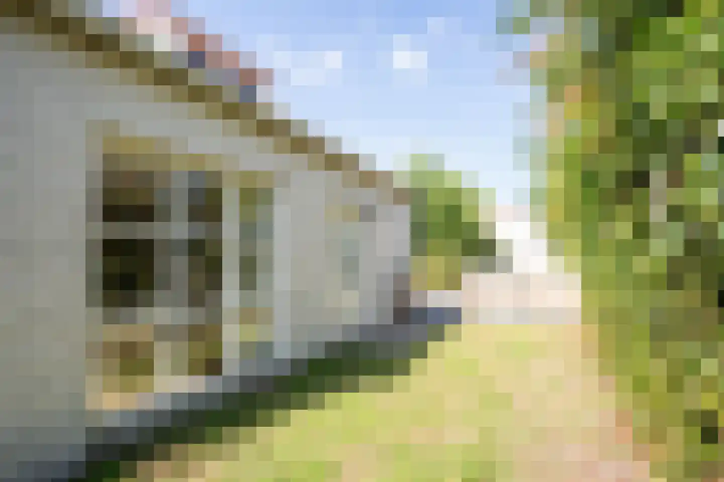 Roggeslootweg 529 De Cocksdorp thumbnail 47