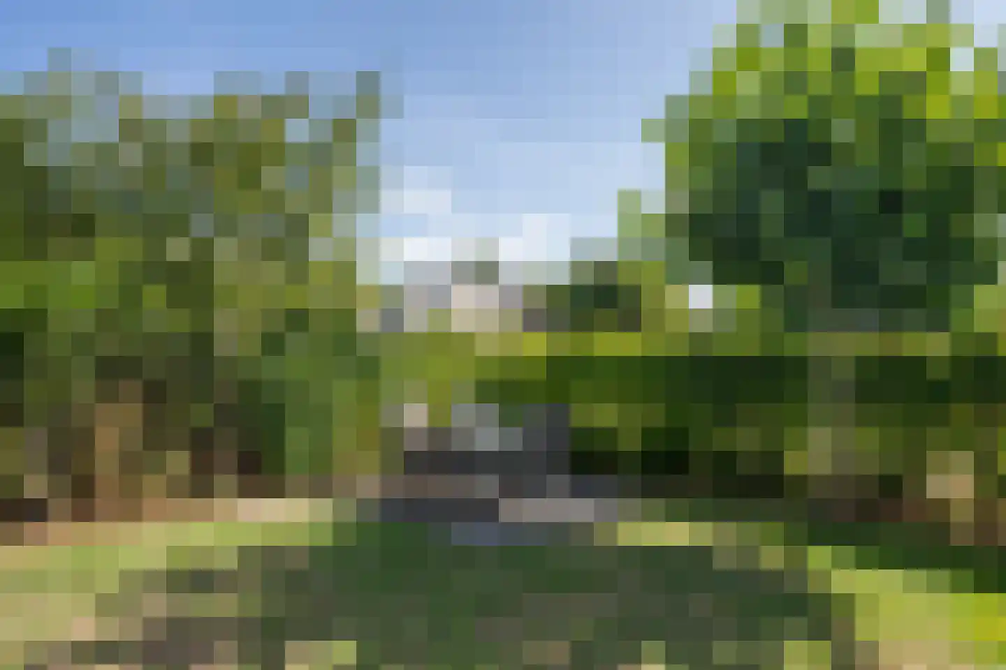 Roggeslootweg 529 De Cocksdorp thumbnail 50