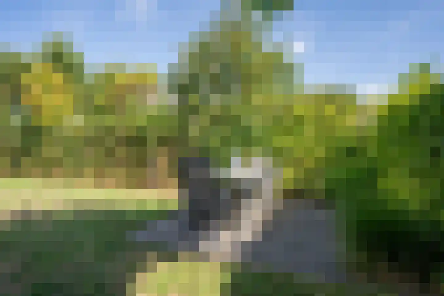 Roggeslootweg 529 De Cocksdorp thumbnail 51
