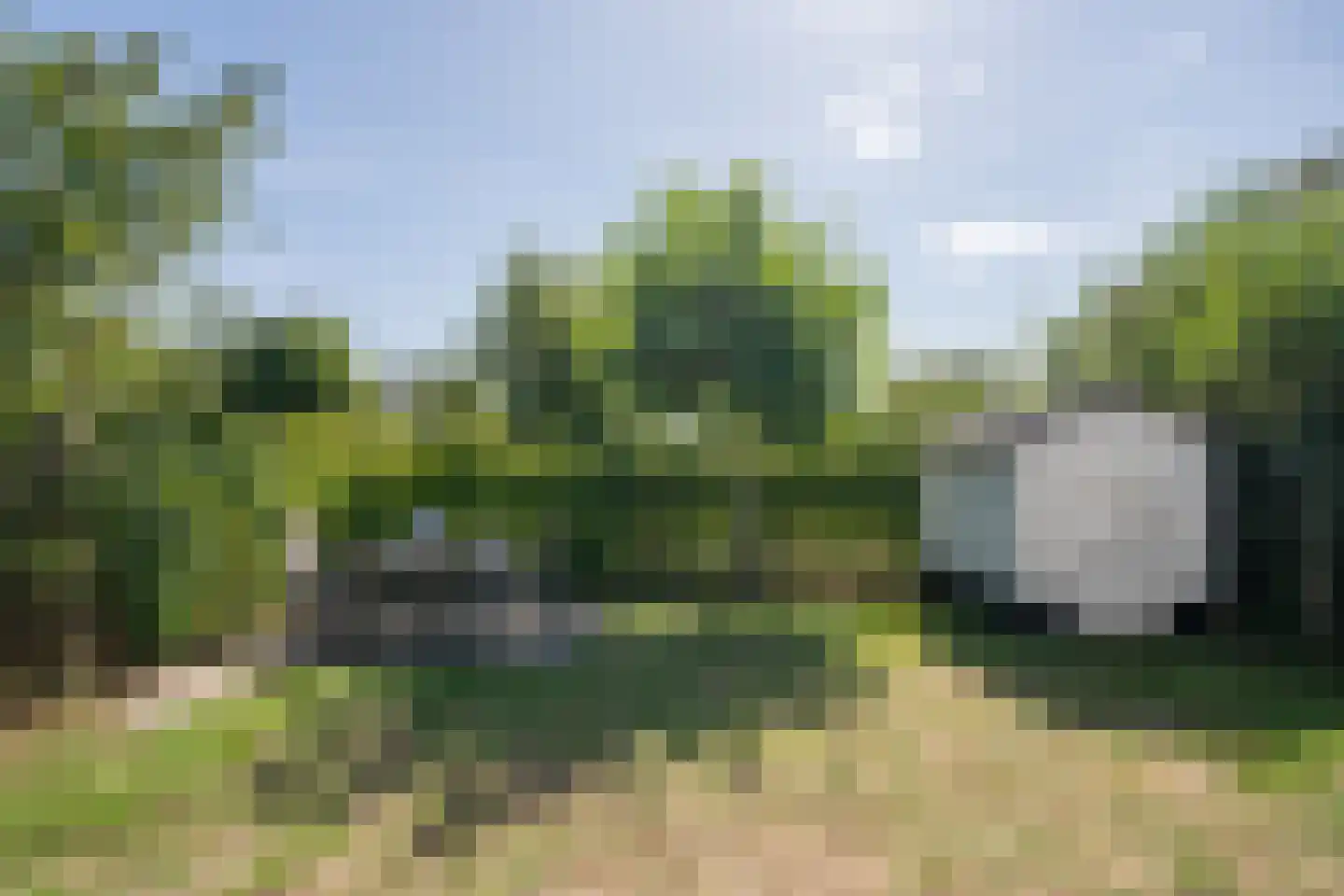 Roggeslootweg 529 De Cocksdorp thumbnail 53