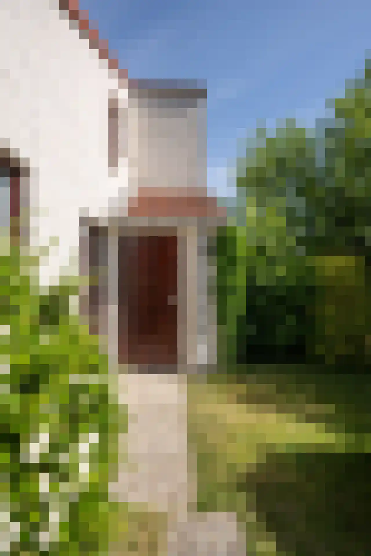 Roggeslootweg 531 De Cocksdorp thumbnail 33