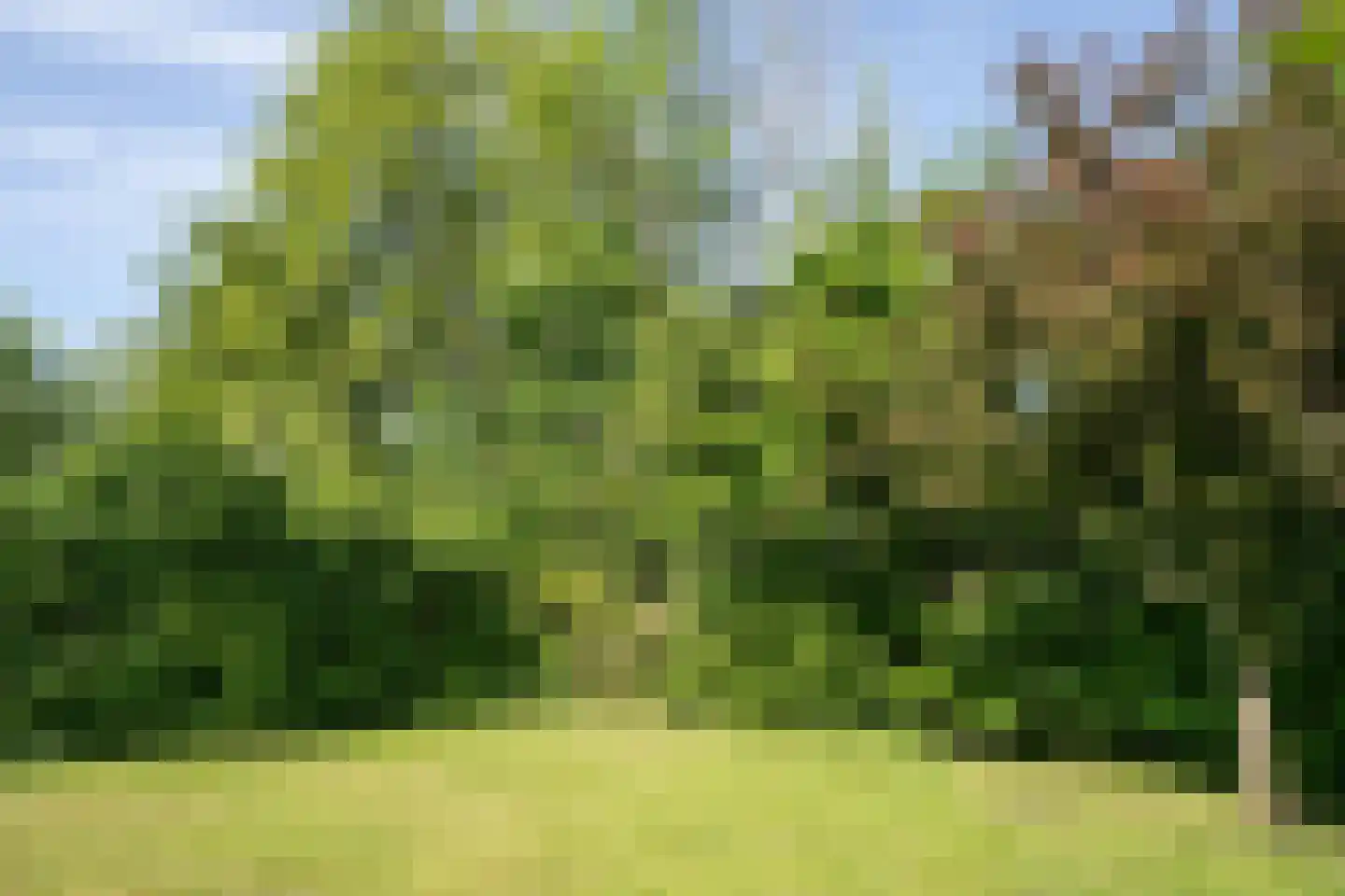 Roggeslootweg 531 De Cocksdorp thumbnail 35