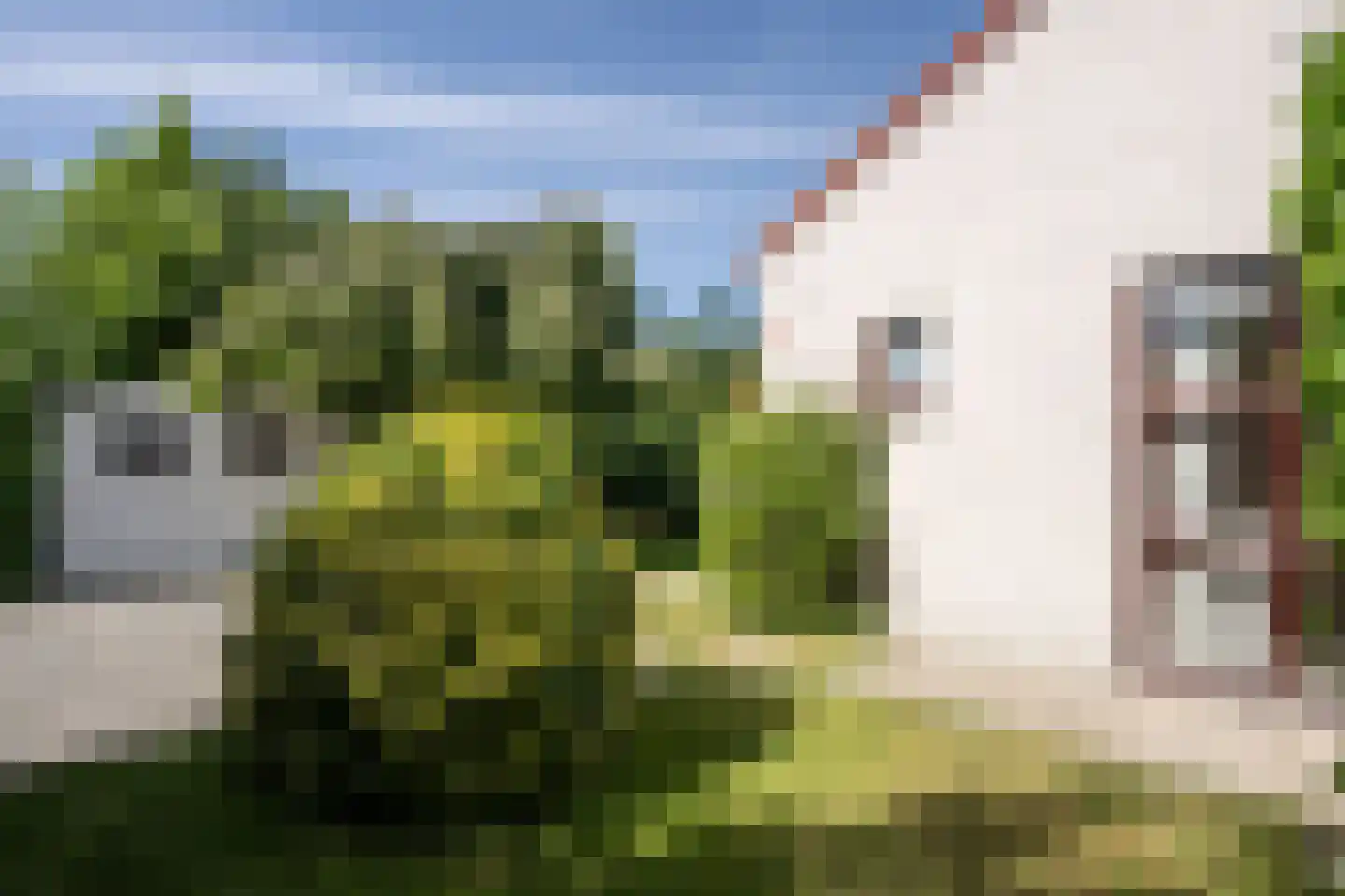 Roggeslootweg 531 De Cocksdorp thumbnail 40