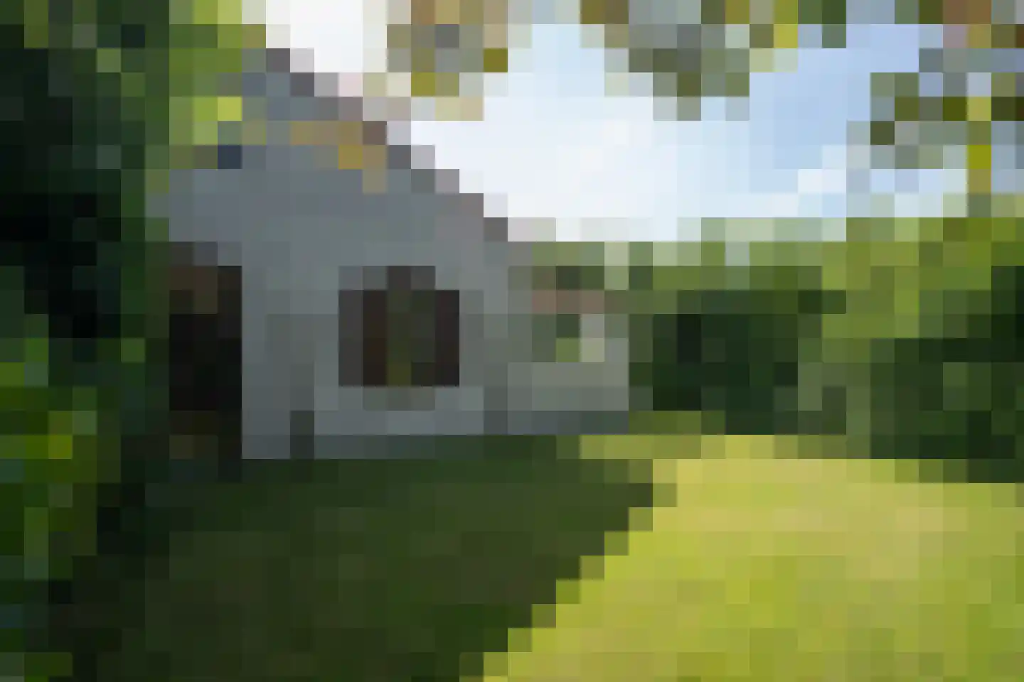 Roggeslootweg 531 De Cocksdorp thumbnail 41