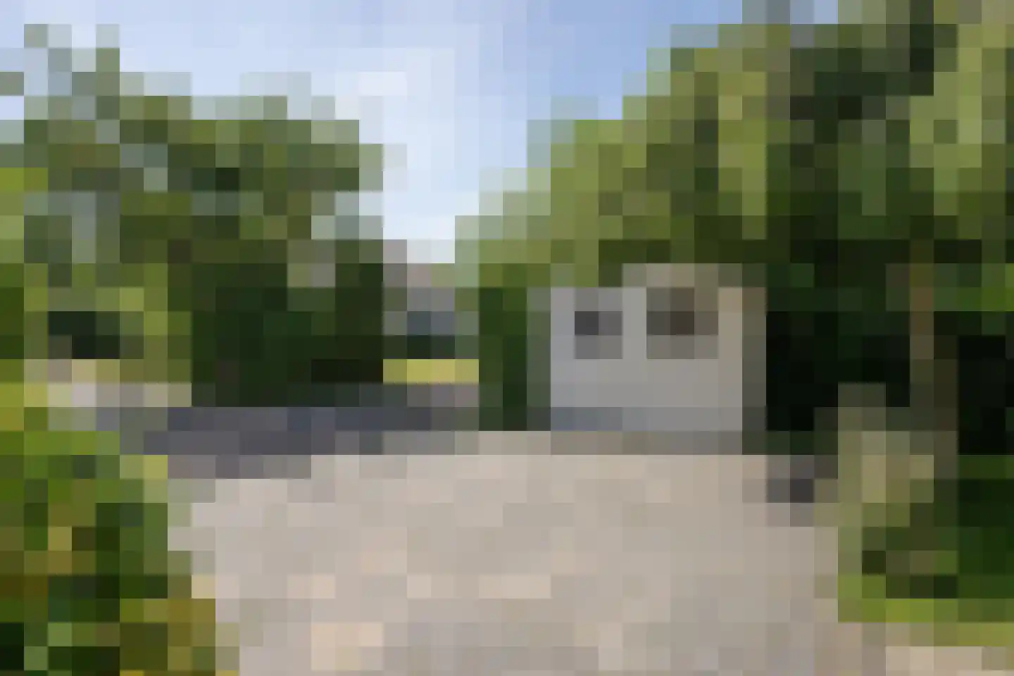 Roggeslootweg 531 De Cocksdorp thumbnail 43