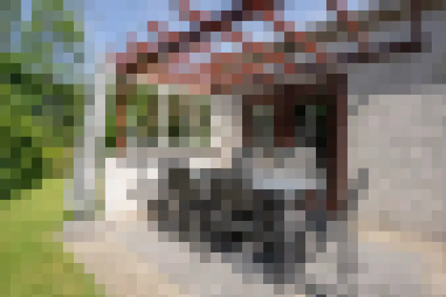 Roggeslootweg 531 De Cocksdorp thumbnail 9