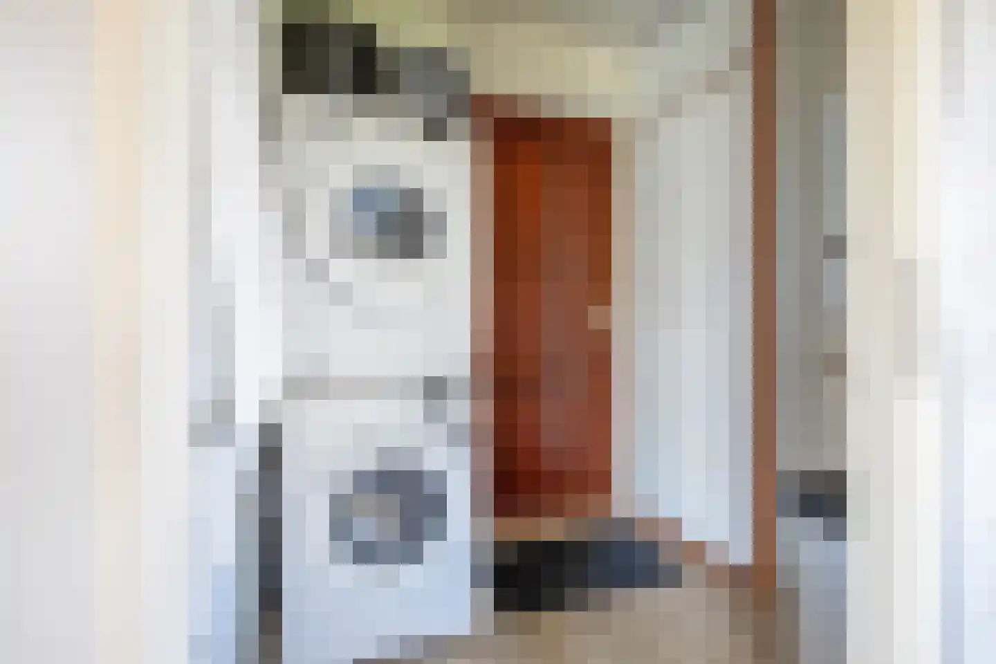 Roggeslootweg 537 De Cocksdorp thumbnail 17