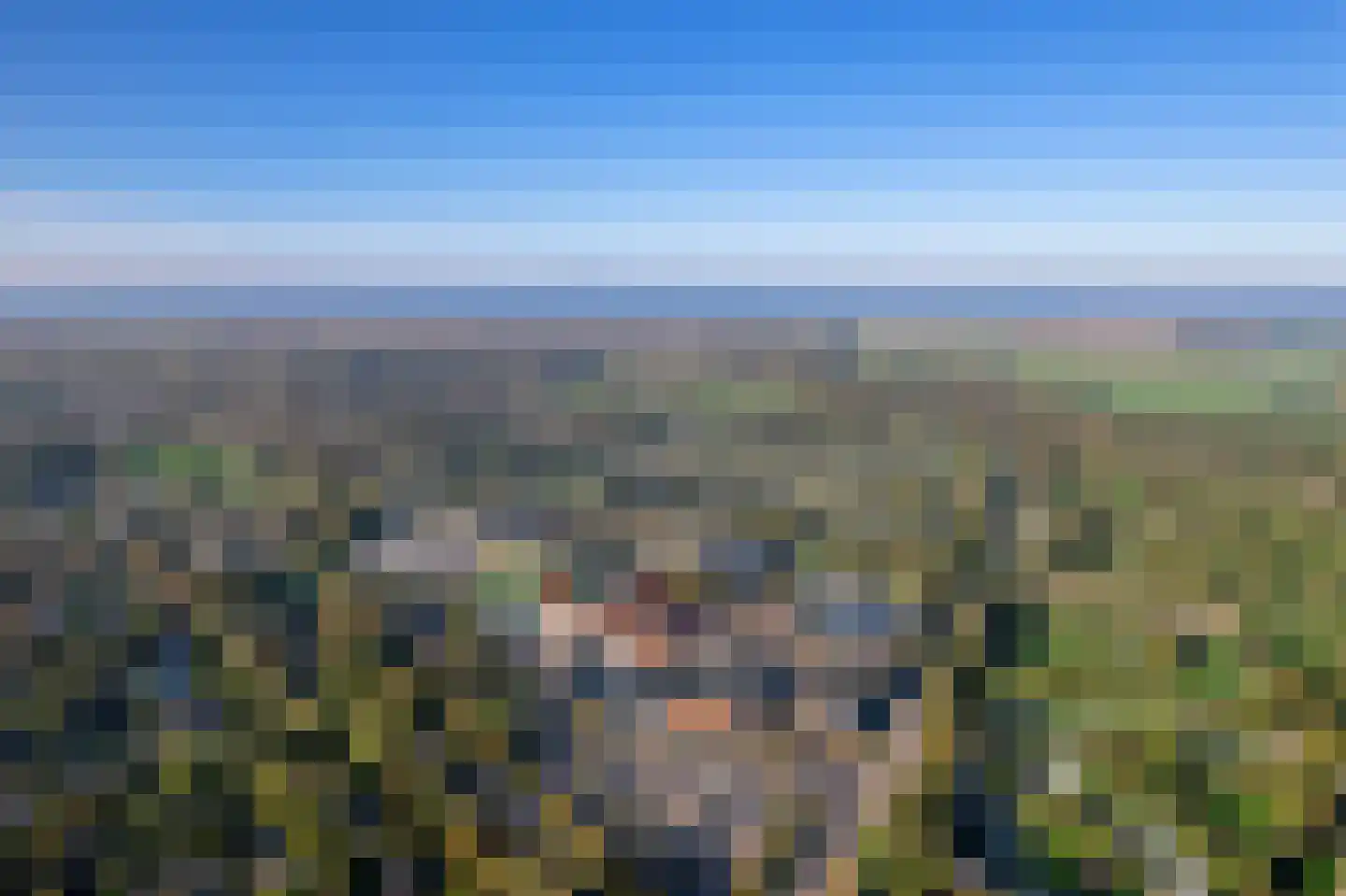 Roggeslootweg 537 De Cocksdorp thumbnail 33