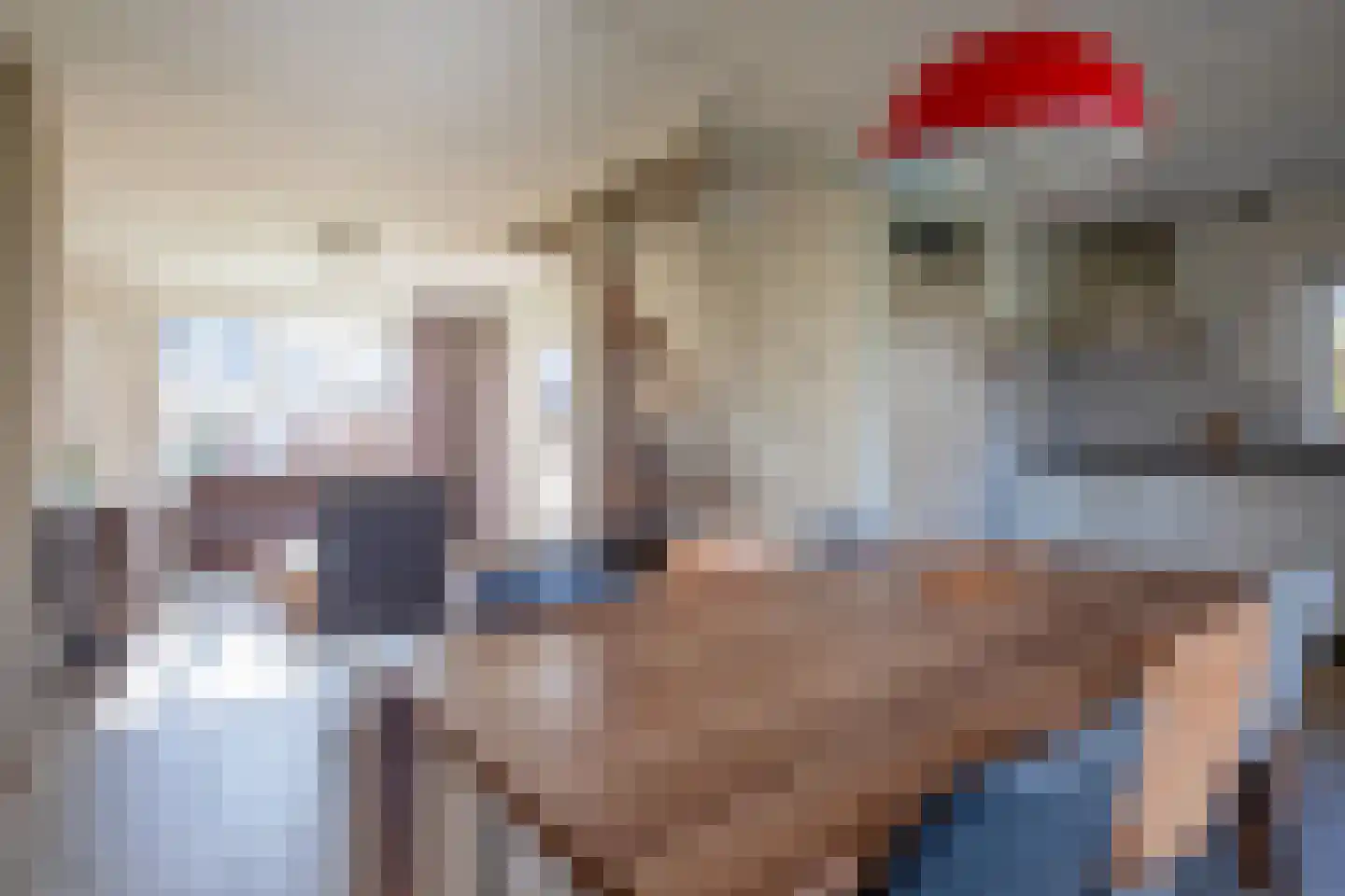 Roggeslootweg 537 De Cocksdorp thumbnail 7