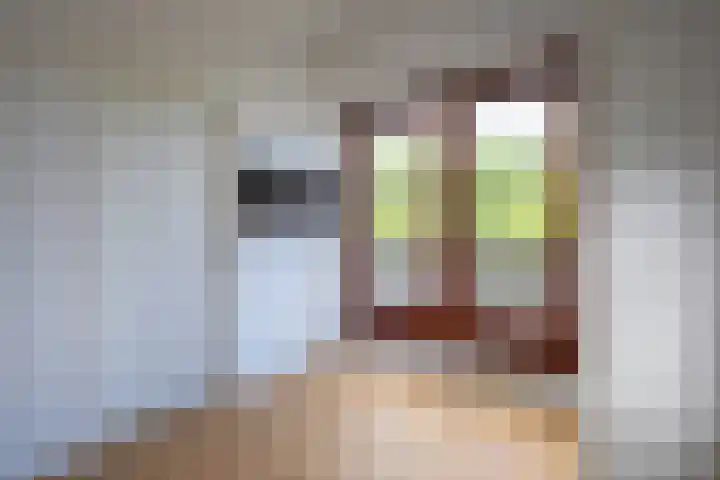 Roggeslootweg 559 De Cocksdorp thumbnail 25
