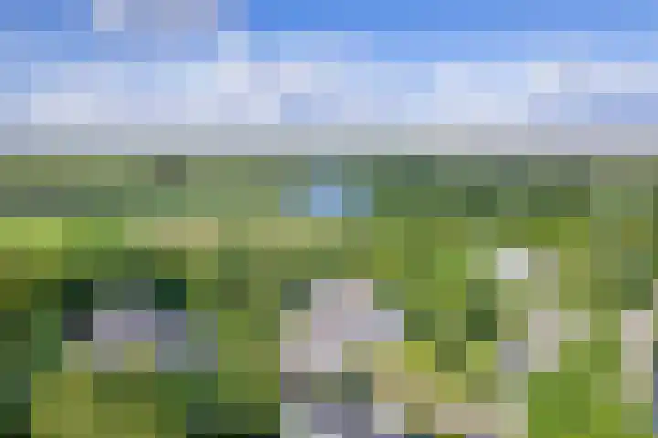 Roggeslootweg 559 De Cocksdorp thumbnail 42