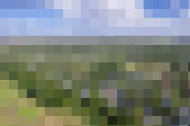 Roggeslootweg 559 De Cocksdorp thumbnail 5