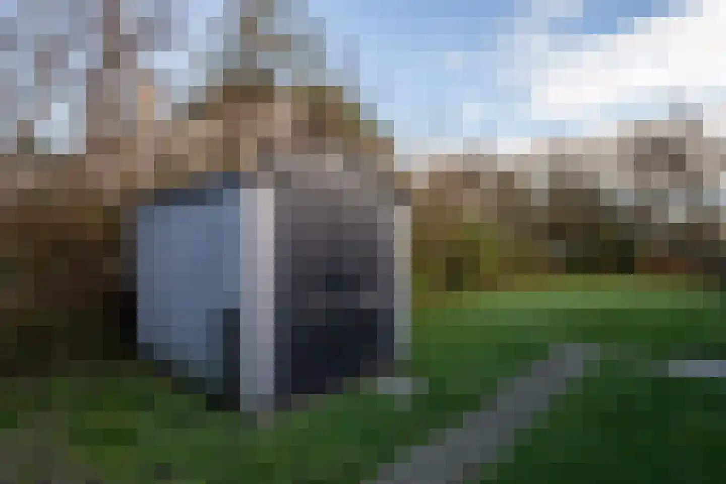 Roggeslootweg 579 De Cocksdorp thumbnail 37