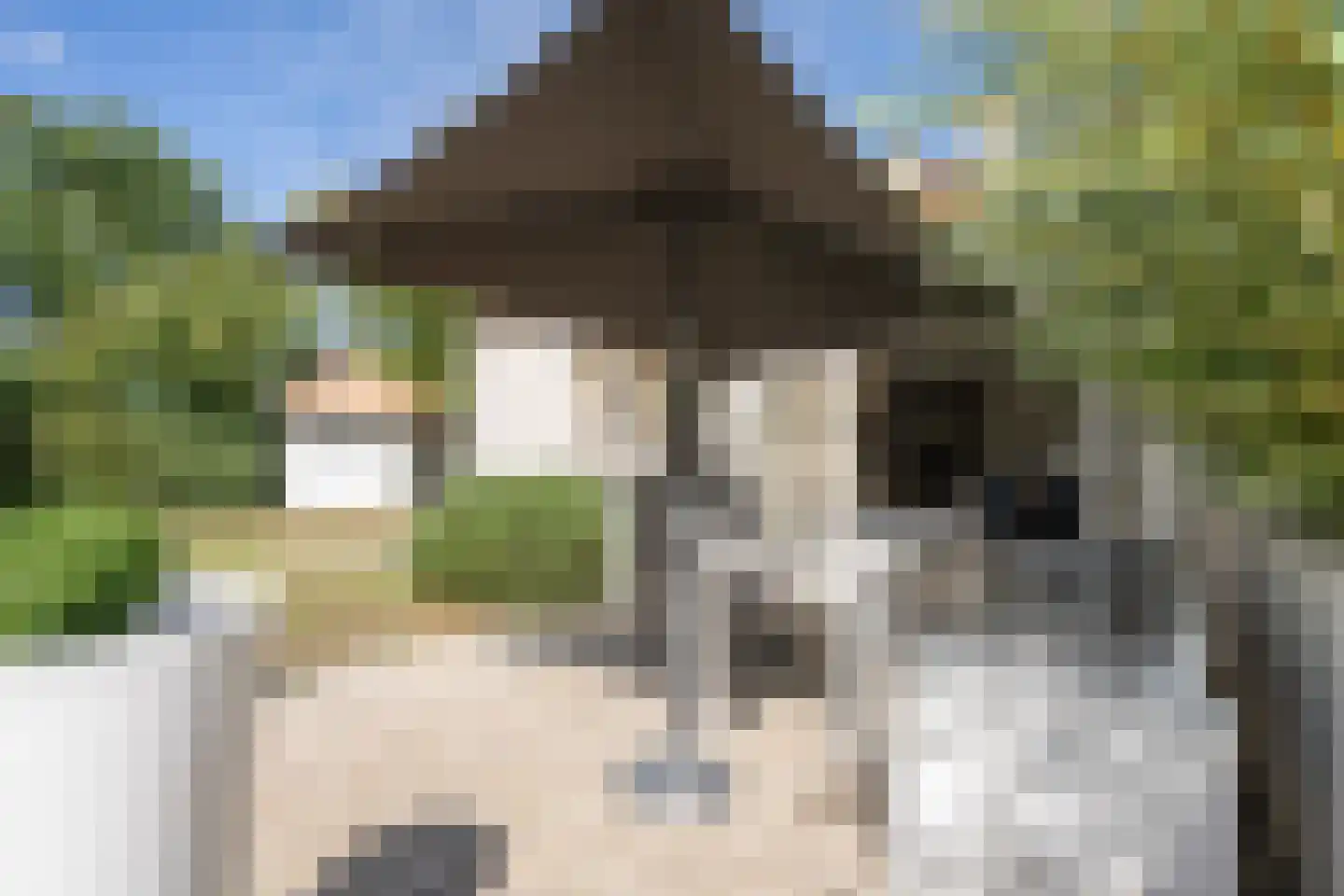 Roggeslootweg 585 De Cocksdorp thumbnail 4