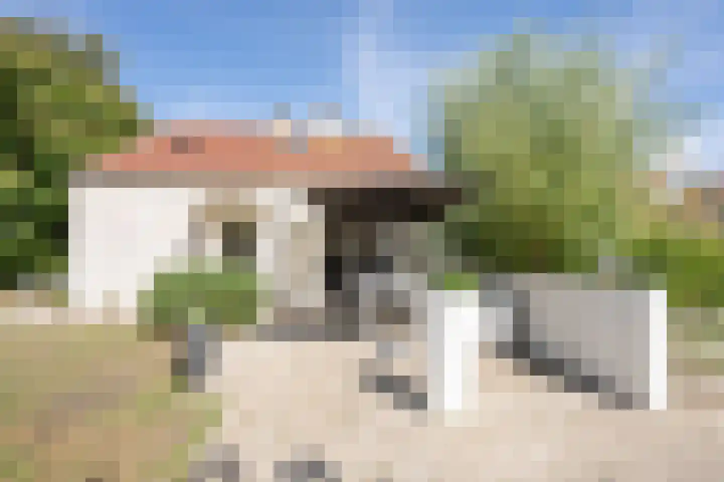 Roggeslootweg 585 De Cocksdorp thumbnail 44
