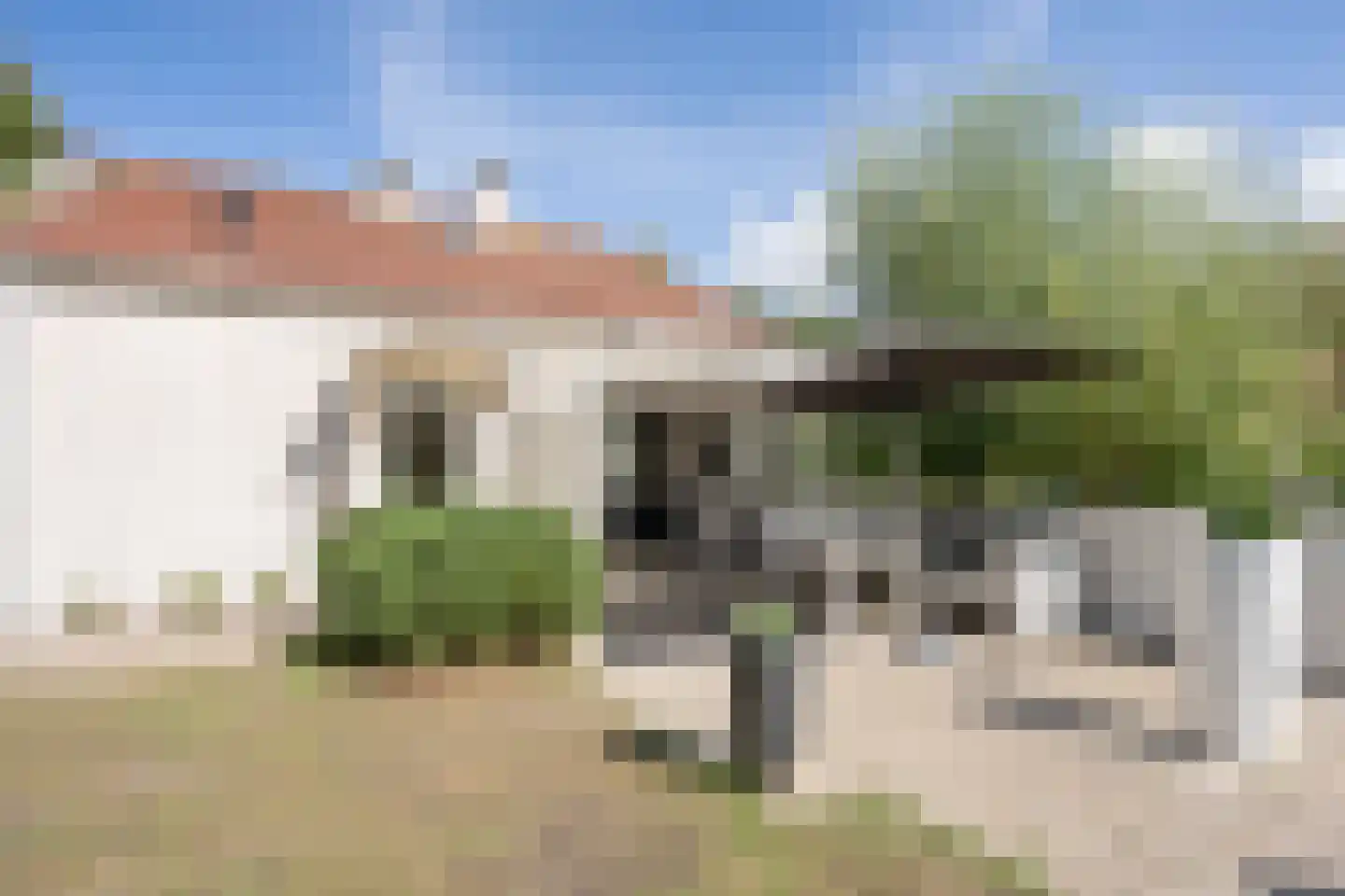 Roggeslootweg 585 De Cocksdorp thumbnail 45