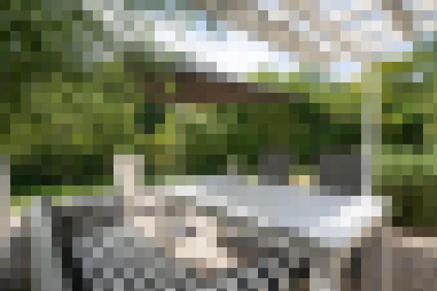 Roggeslootweg 585 De Cocksdorp thumbnail 46