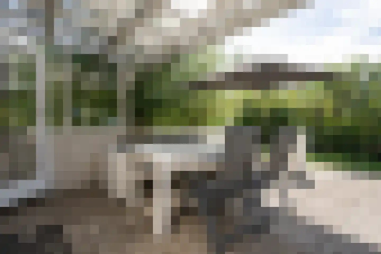 Roggeslootweg 585 De Cocksdorp thumbnail 47
