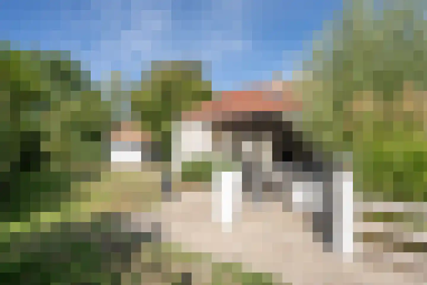 Roggeslootweg 585 De Cocksdorp thumbnail 51