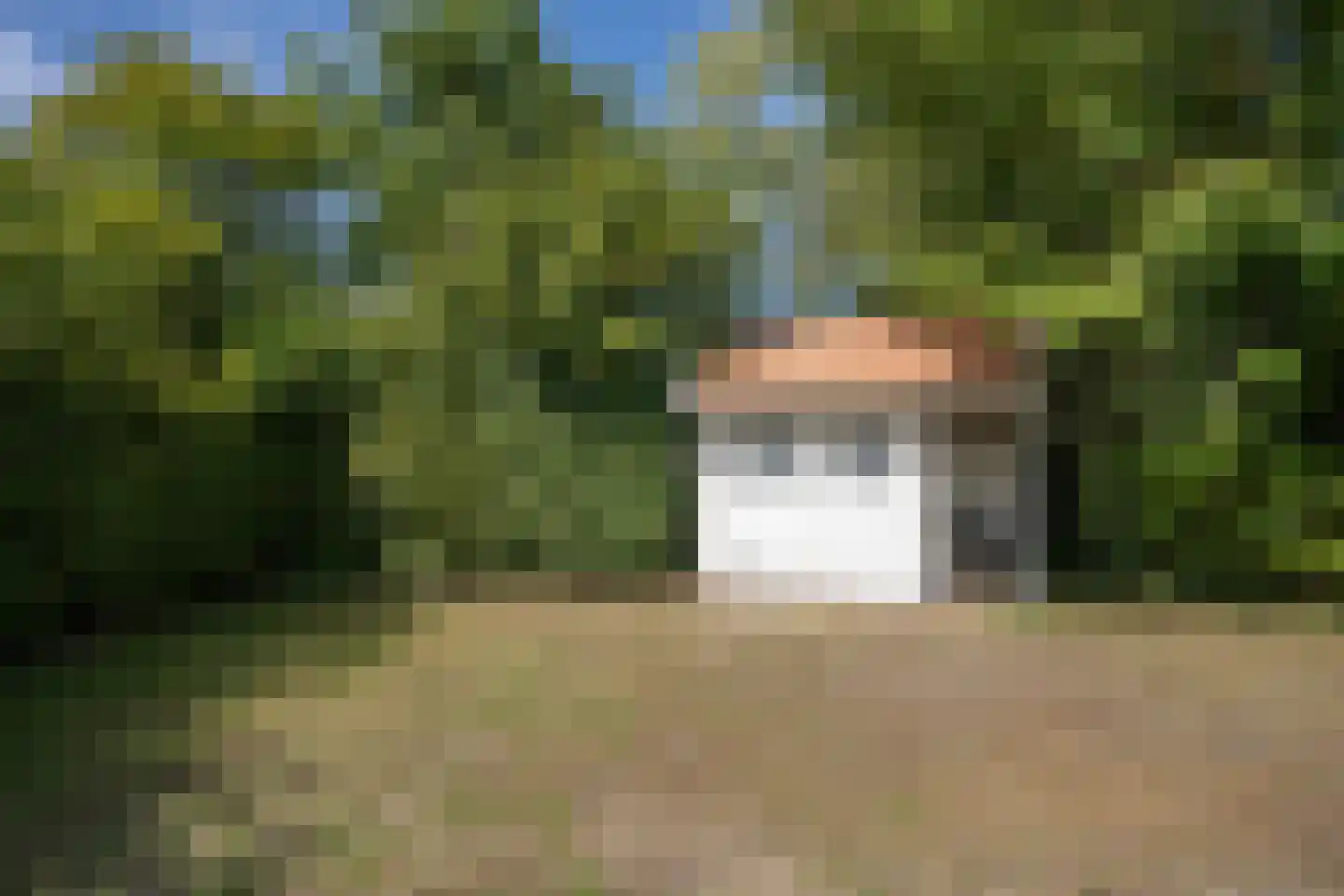 Roggeslootweg 585 De Cocksdorp thumbnail 52