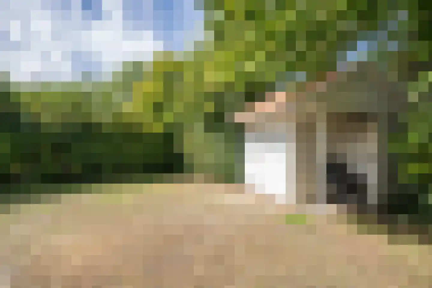 Roggeslootweg 585 De Cocksdorp thumbnail 53