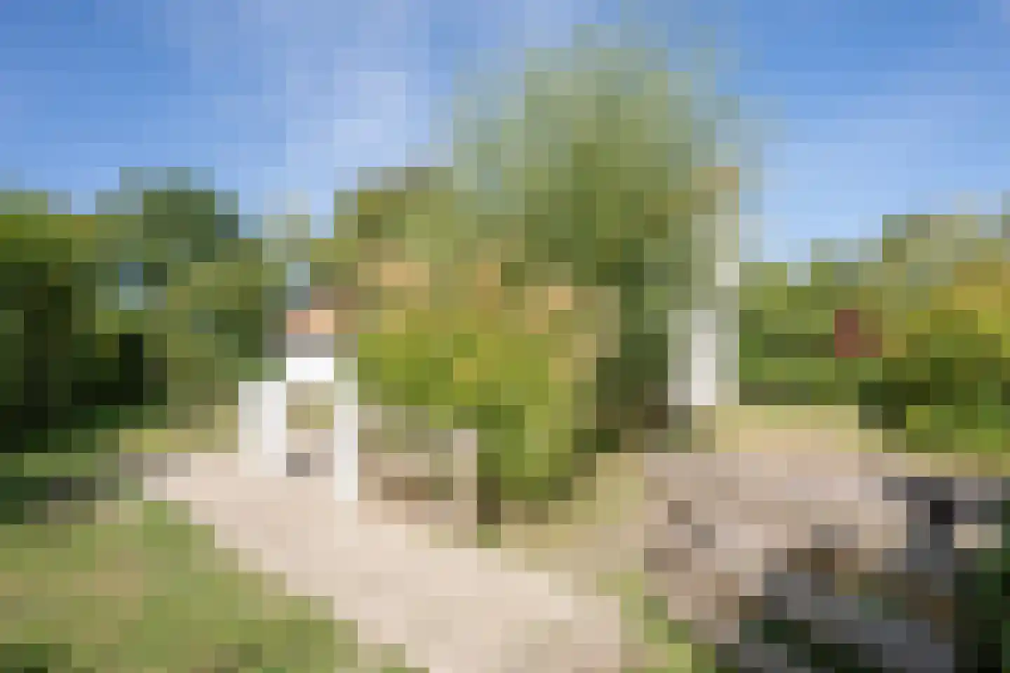 Roggeslootweg 585 De Cocksdorp thumbnail 57