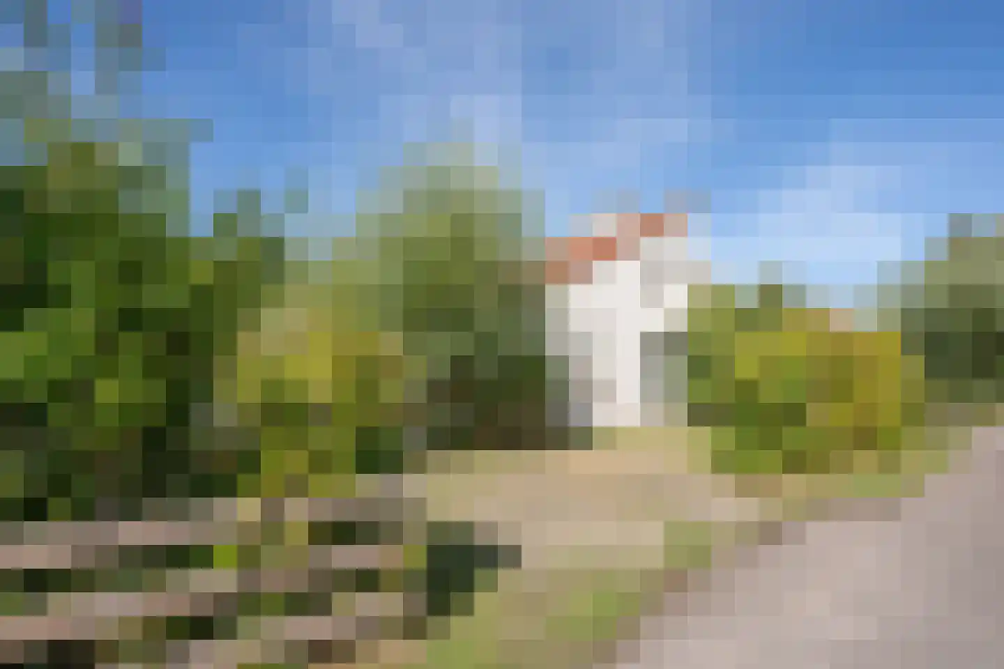 Roggeslootweg 585 De Cocksdorp thumbnail 58