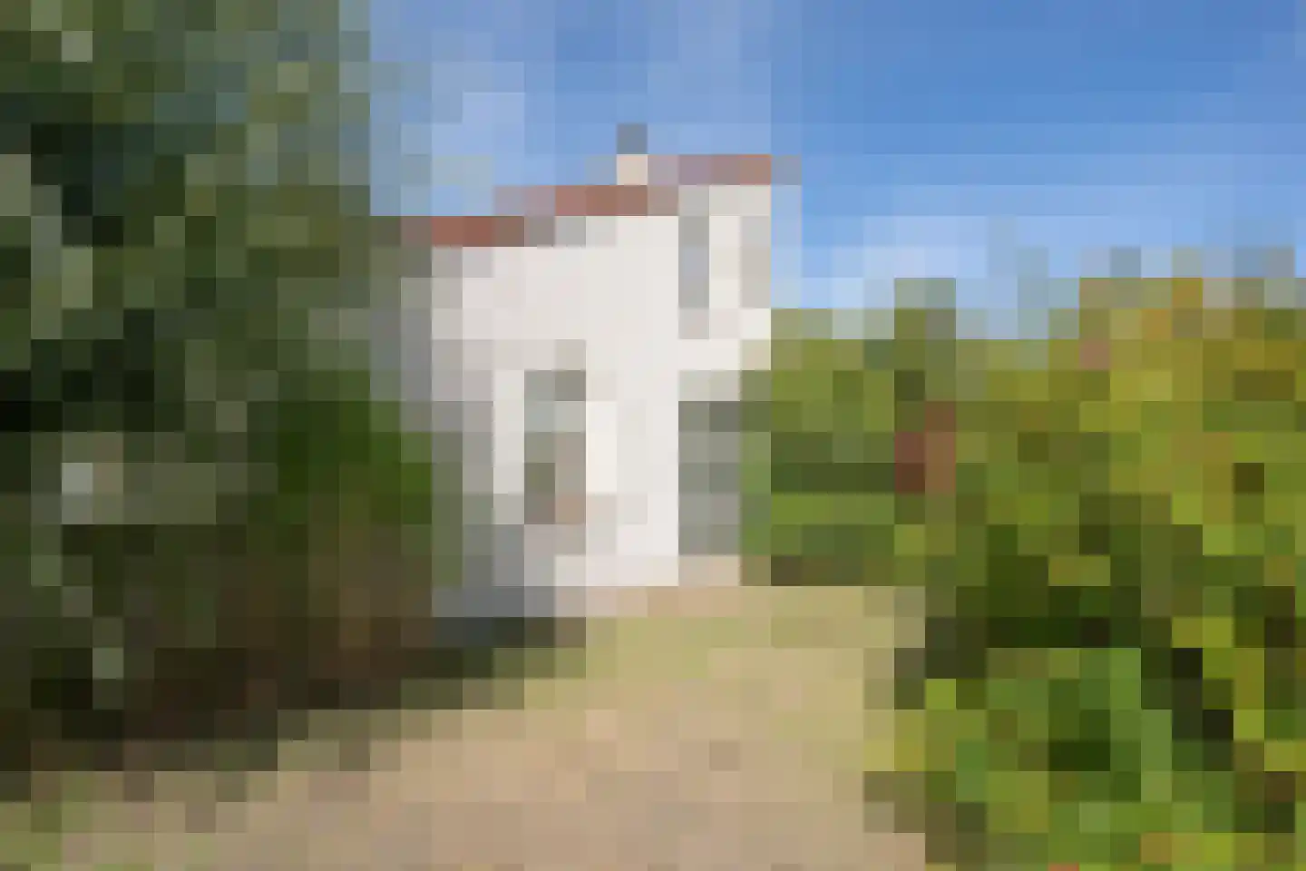 Roggeslootweg 585 De Cocksdorp thumbnail 59