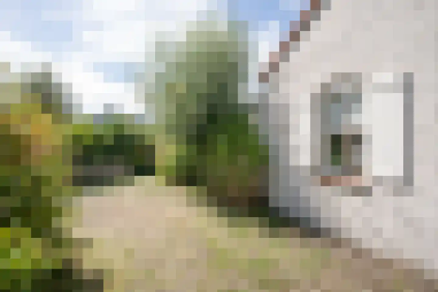 Roggeslootweg 585 De Cocksdorp thumbnail 60