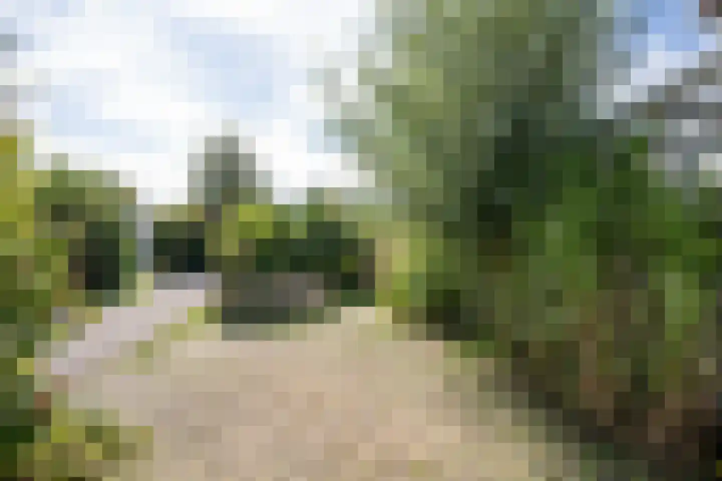 Roggeslootweg 585 De Cocksdorp thumbnail 61