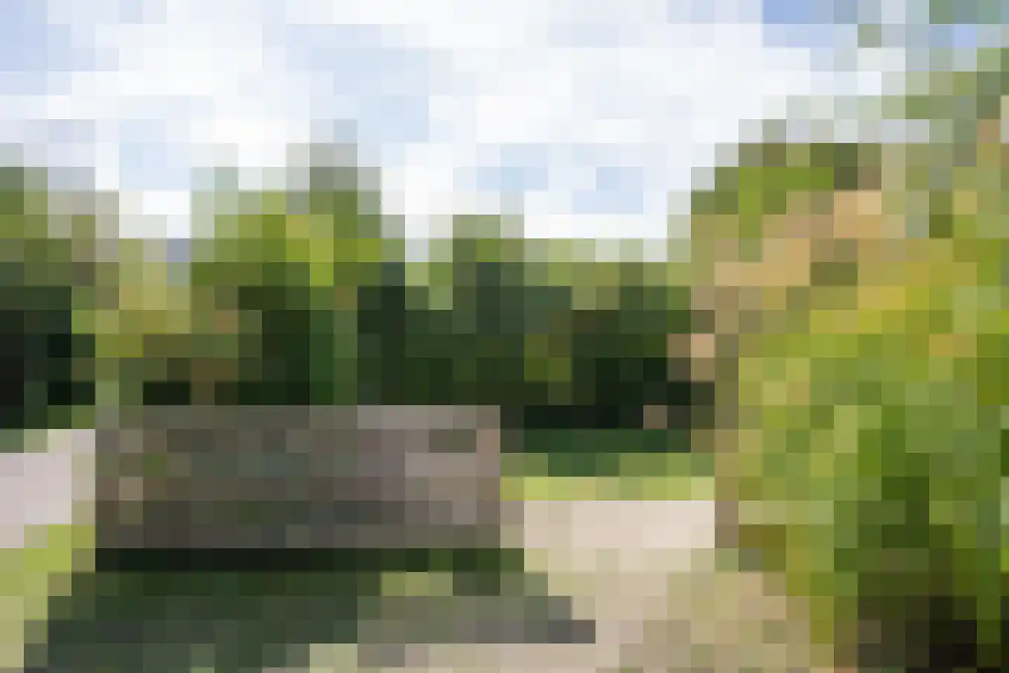 Roggeslootweg 585 De Cocksdorp thumbnail 62