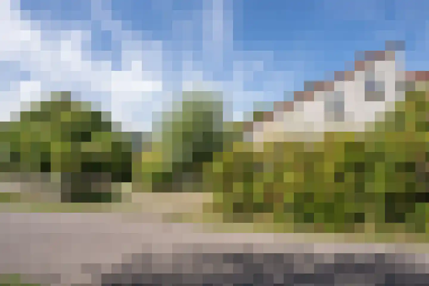 Roggeslootweg 585 De Cocksdorp thumbnail 63