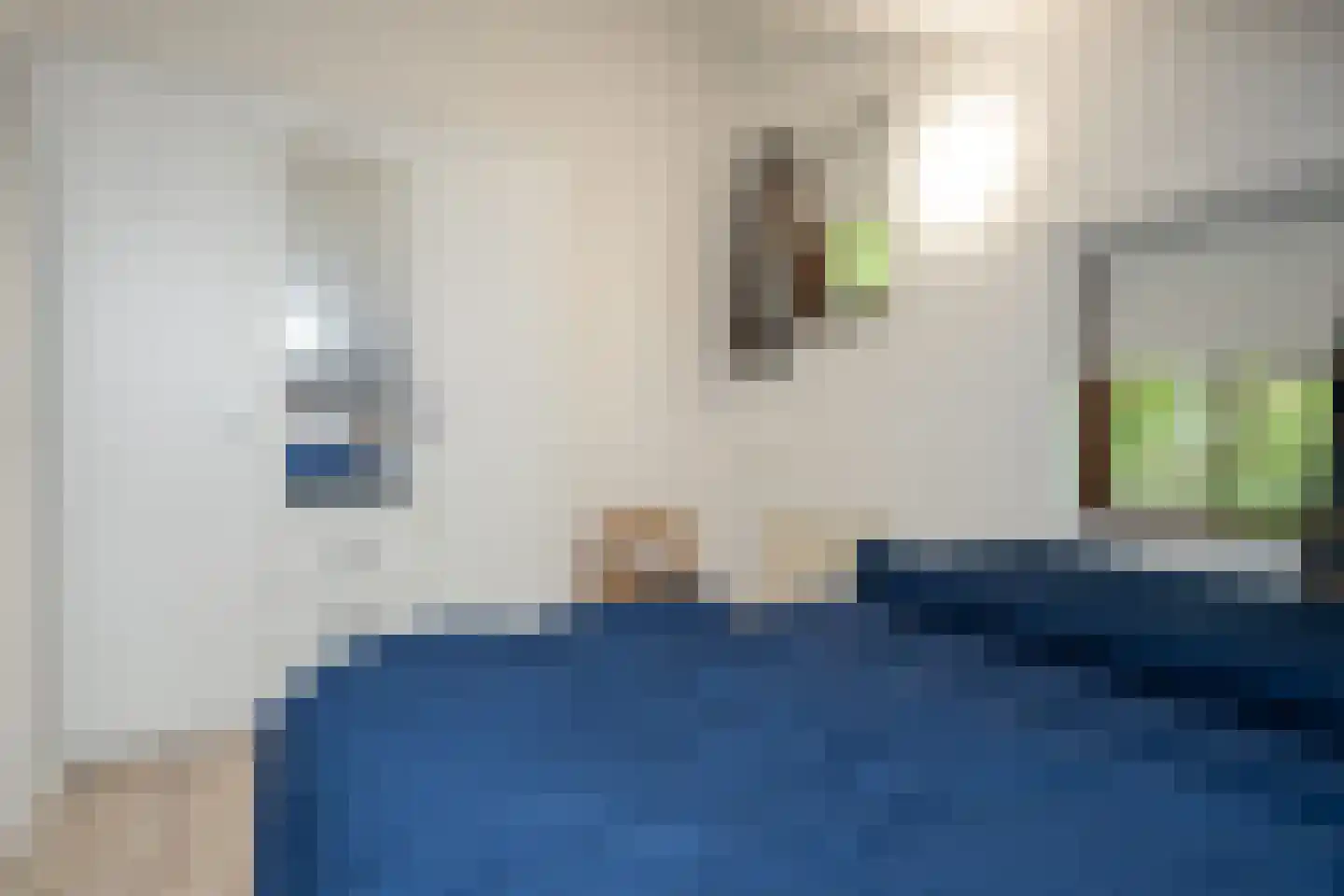 Roggeslootweg 599 De Cocksdorp thumbnail 29